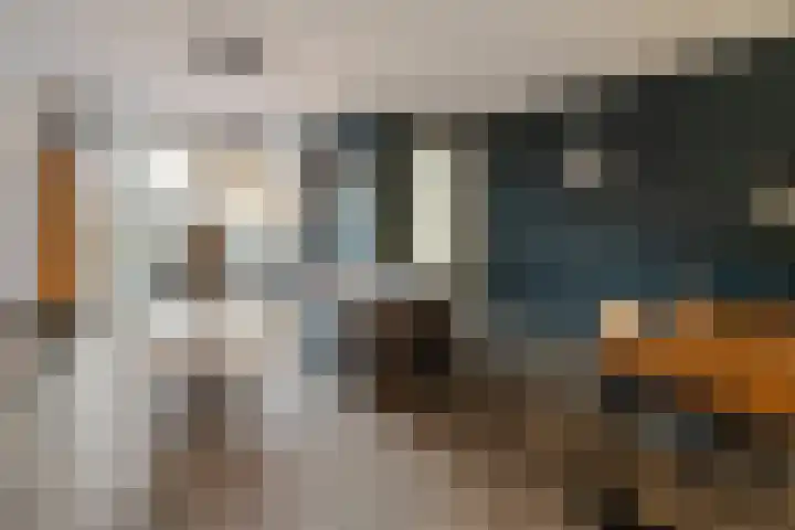 de Pauwe 6 Nieuw Heeten thumbnail 7