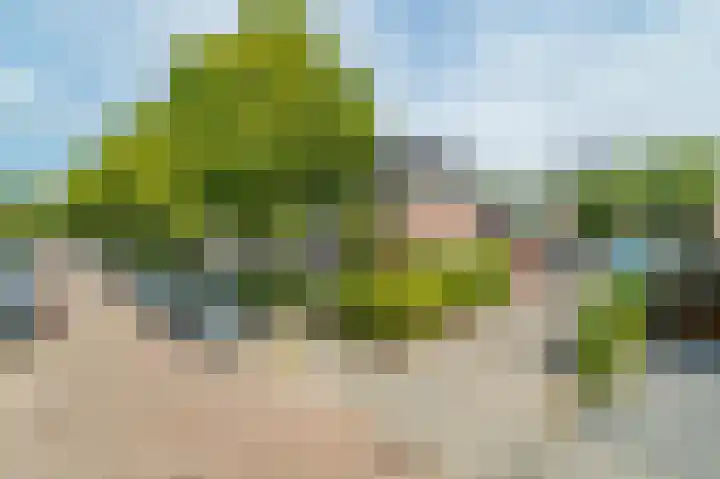 De Pauwentuin 22 Amstelveen thumbnail 35