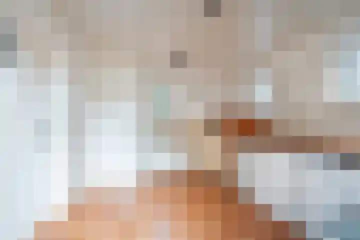 de Pavert 14 Varsselder thumbnail 16
