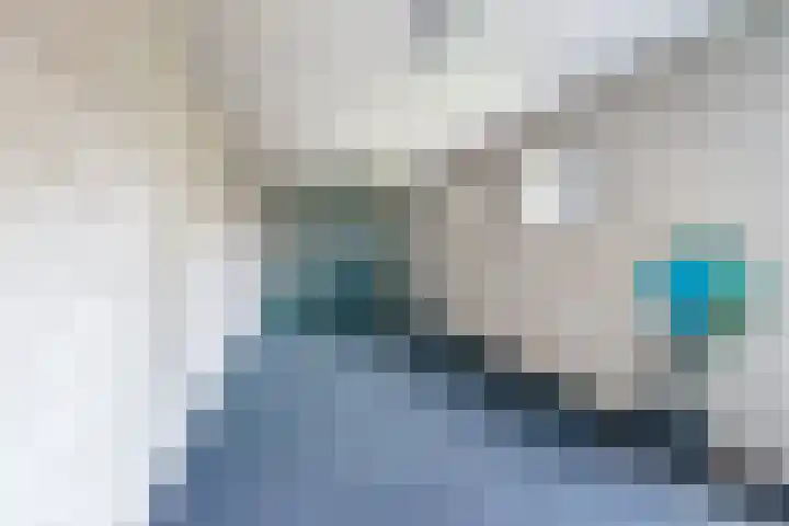de Pavert 14 Varsselder thumbnail 18