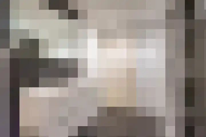 de Pavert 14 Varsselder thumbnail 34