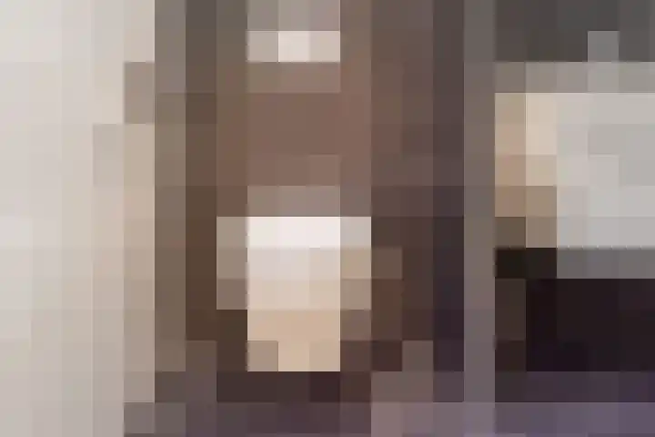 de Pavert 14 Varsselder thumbnail 35