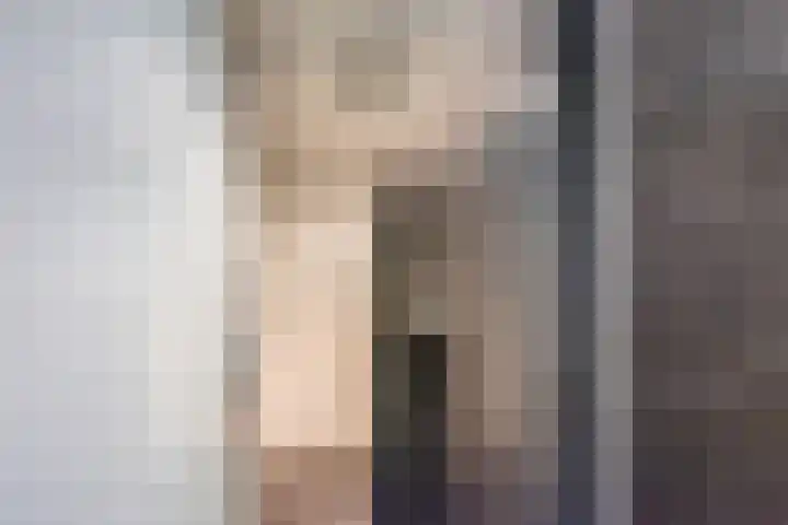 de Pavert 14 Varsselder thumbnail 36