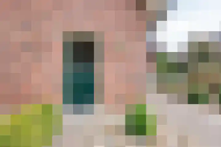 de Pavert 14 Varsselder thumbnail 44