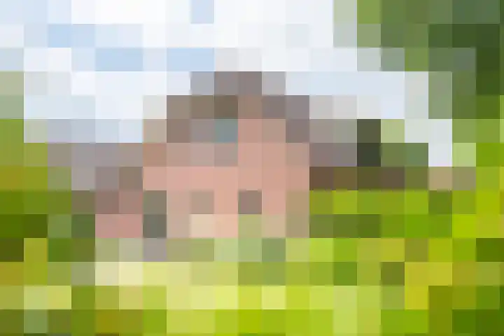 de Pavert 14 Varsselder thumbnail 45