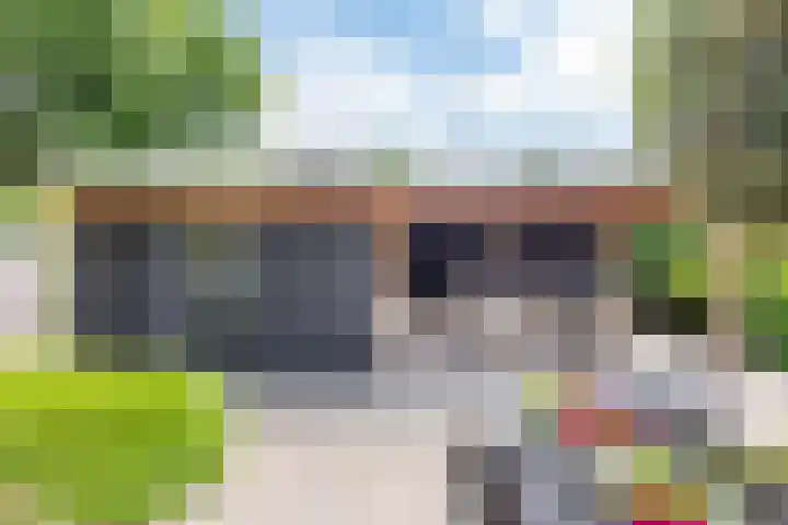 de Pavert 14 Varsselder thumbnail 46