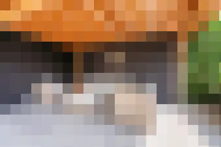 de Pavert 14 Varsselder thumbnail 47