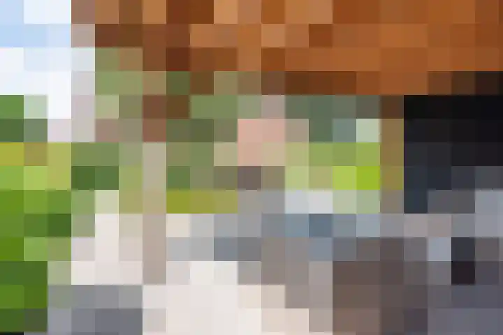 de Pavert 14 Varsselder thumbnail 48