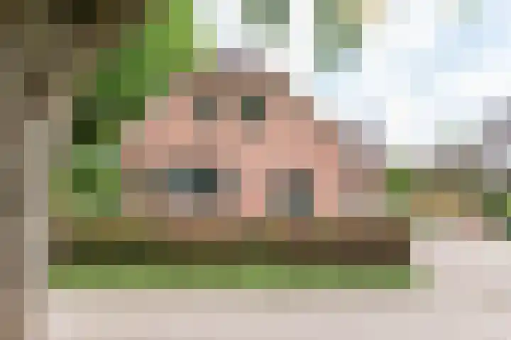 de Pavert 14 Varsselder thumbnail 5
