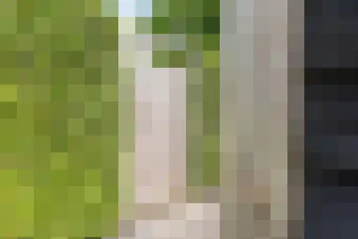 de Pavert 14 Varsselder thumbnail 53