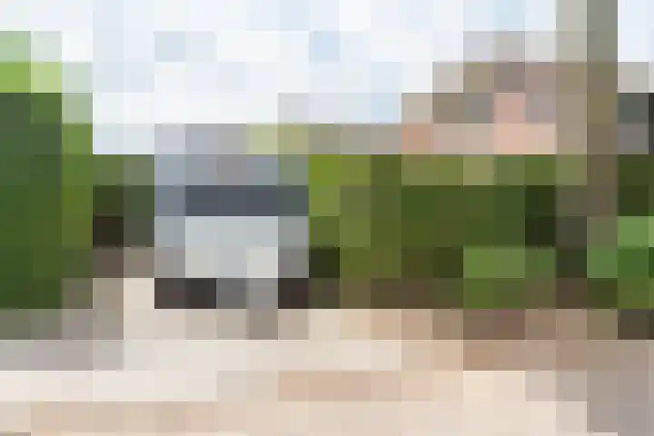 de Pavert 14 Varsselder thumbnail 54