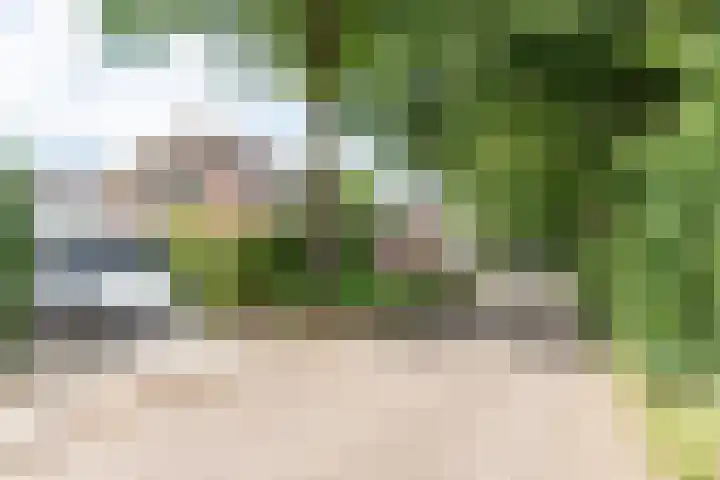 de Pavert 14 Varsselder thumbnail 55