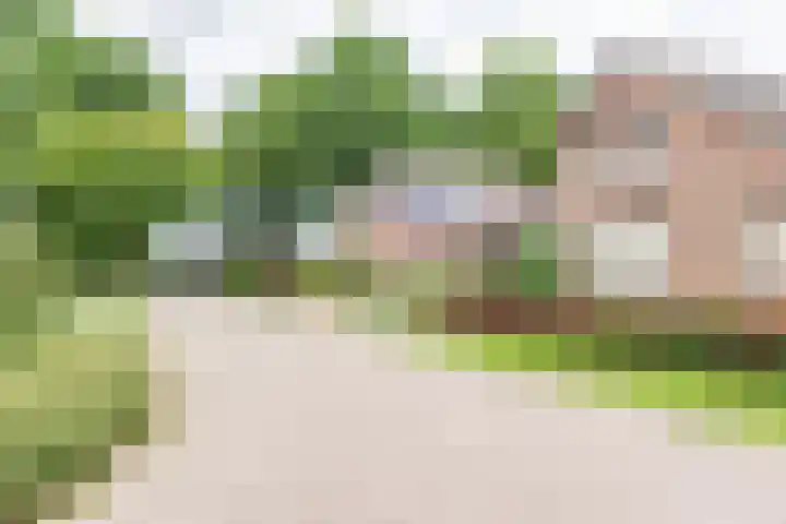 de Pavert 14 Varsselder thumbnail 58