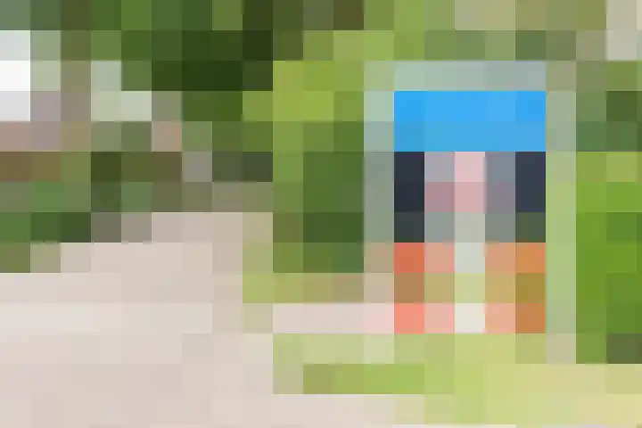 de Pavert 14 Varsselder thumbnail 59