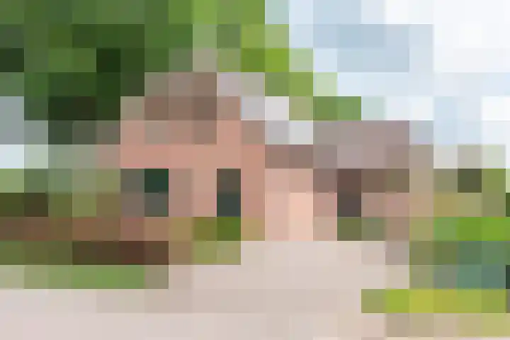 de Pavert 14 Varsselder thumbnail 6