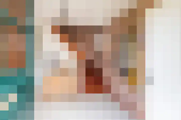 de Pavert 14 Varsselder thumbnail 7
