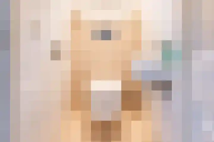 de Pavert 14 Varsselder thumbnail 9