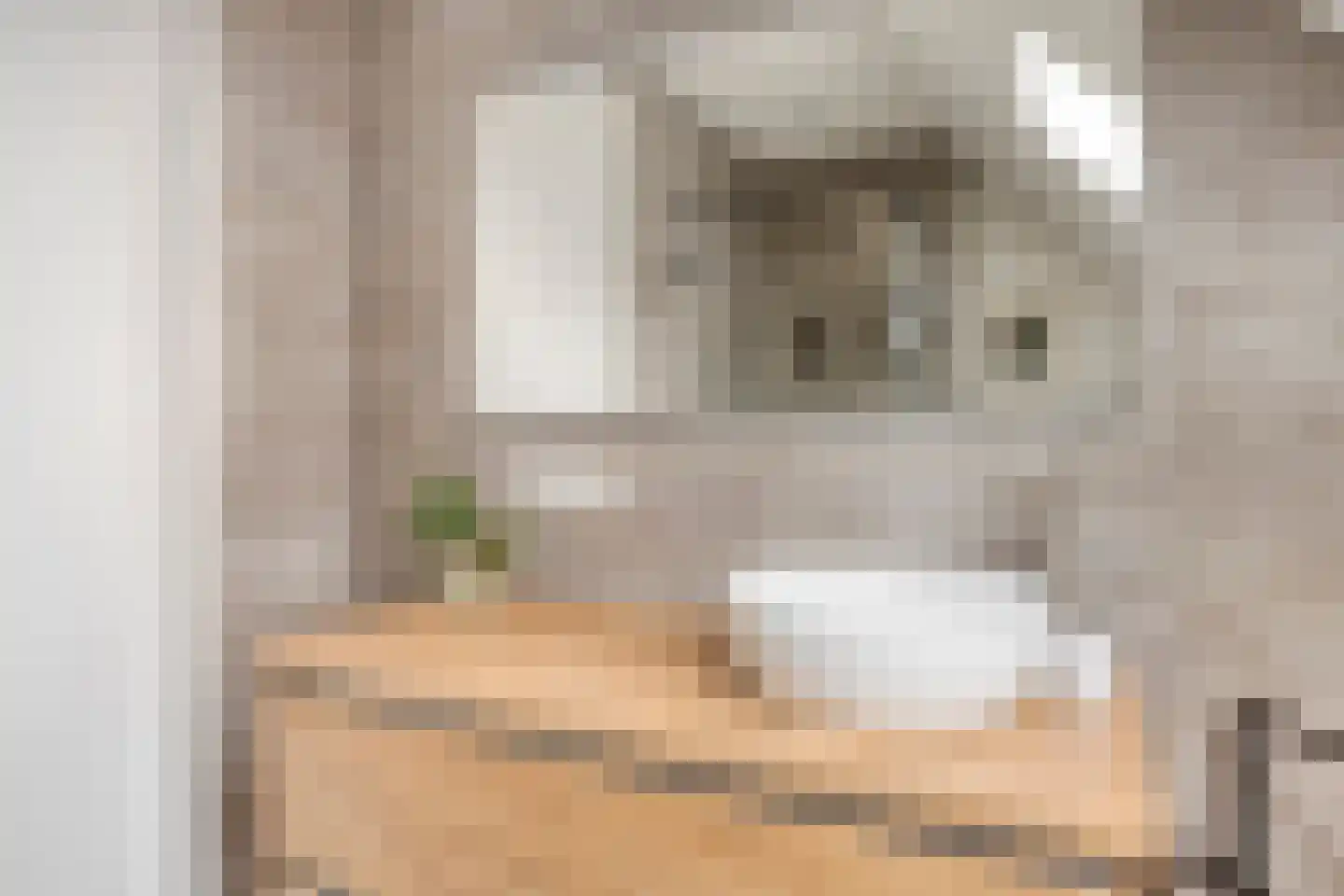De Peel 1 Chaam thumbnail 16