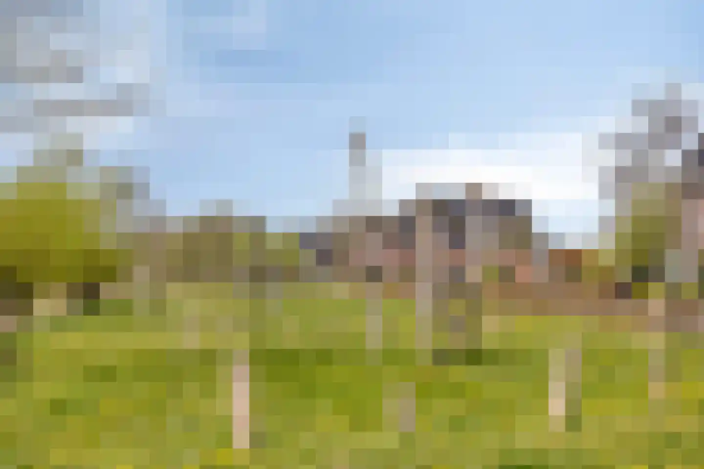De Peel 1 Chaam thumbnail 30