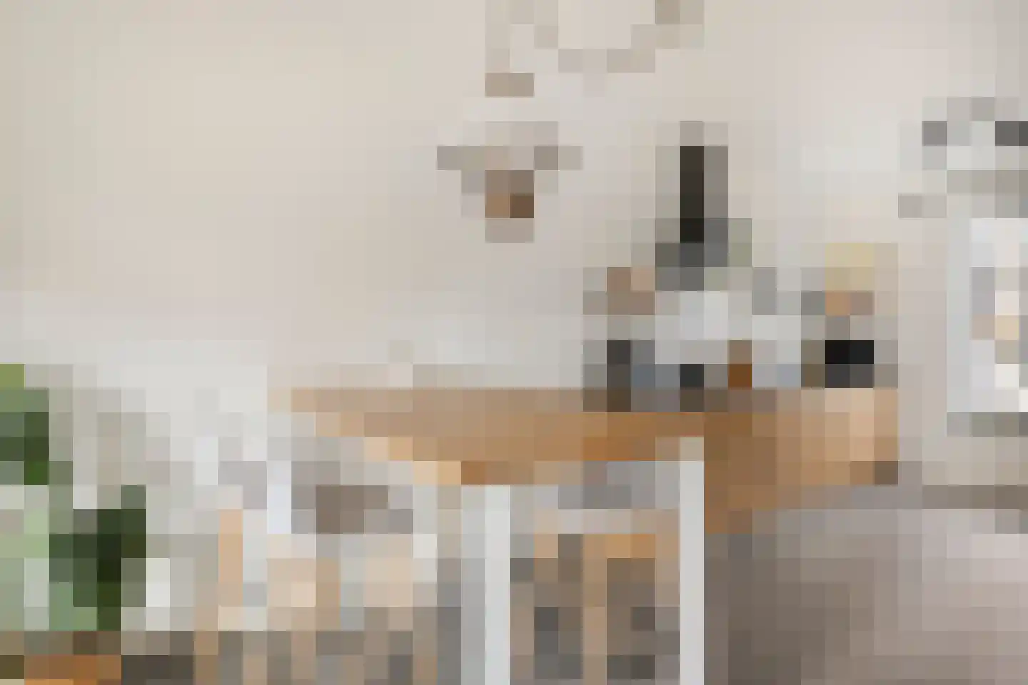 De Peel 1 Chaam thumbnail 5