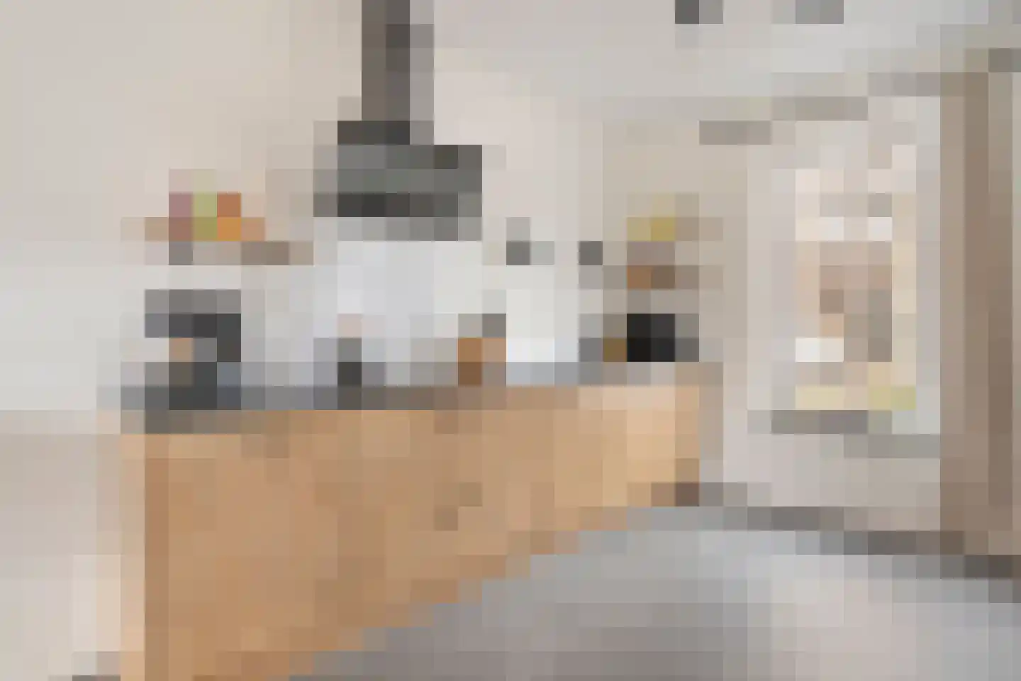 De Peel 1 Chaam thumbnail 6
