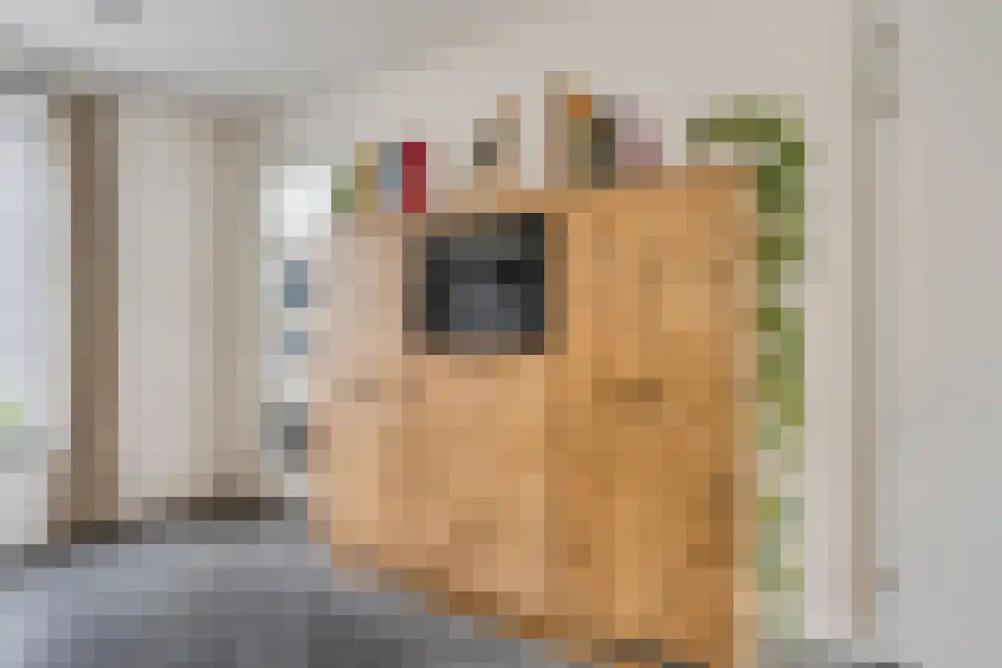 De Peel 1 Chaam thumbnail 8
