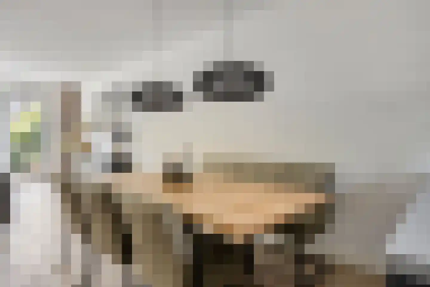 De Peel 11 Chaam thumbnail 10