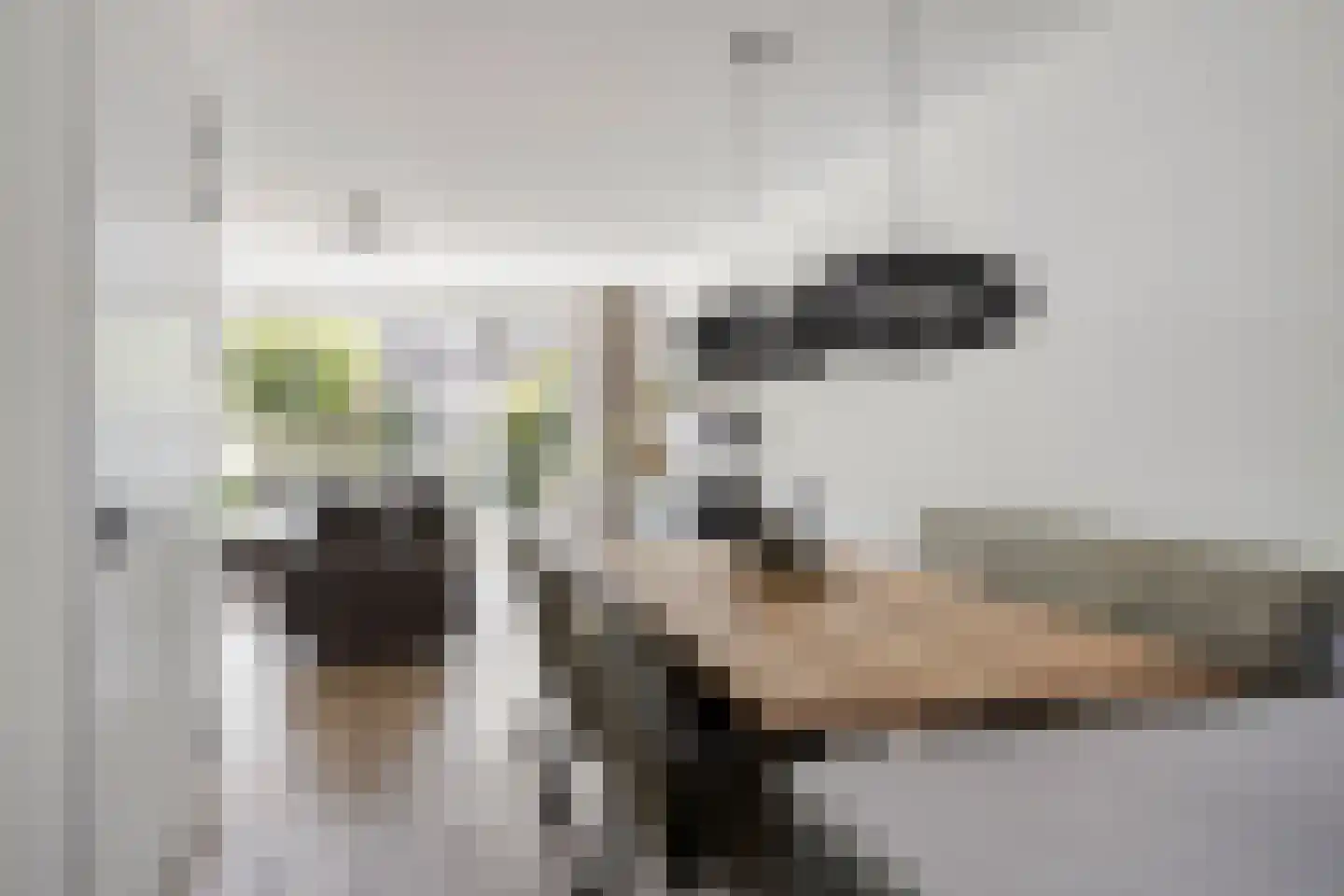 De Peel 11 Chaam thumbnail 11