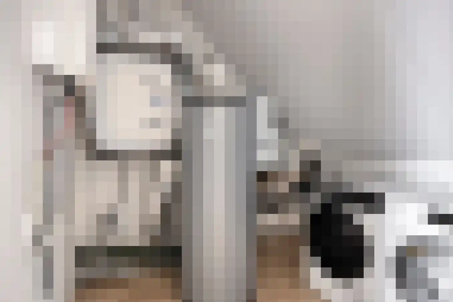 De Peel 11 Chaam thumbnail 26