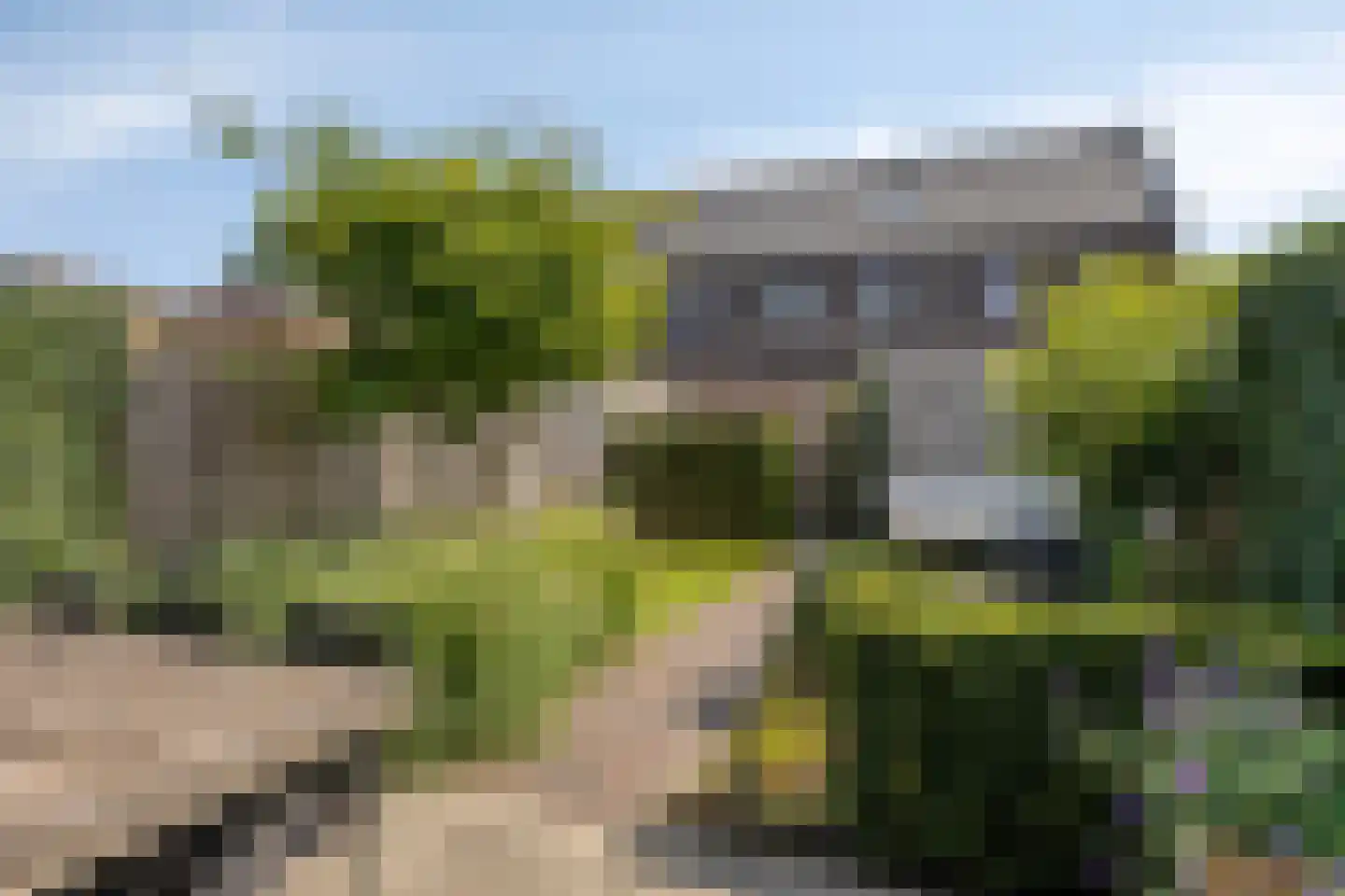 De Peel 11 Chaam thumbnail 28