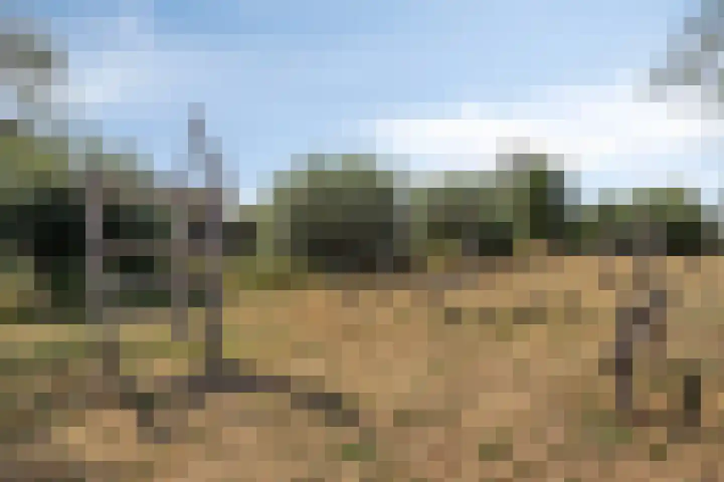De Peel 11 Chaam thumbnail 31