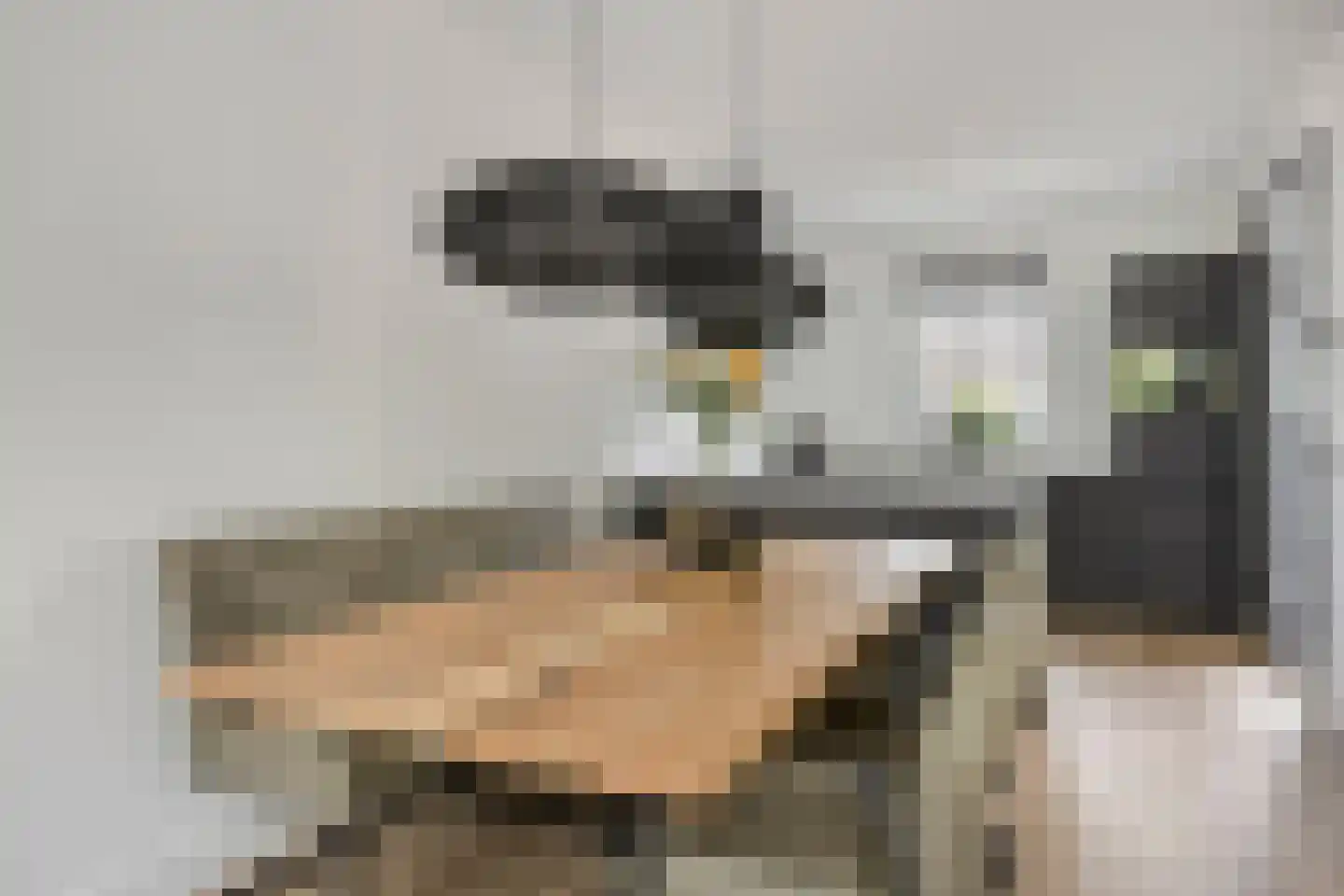 De Peel 11 Chaam thumbnail 9