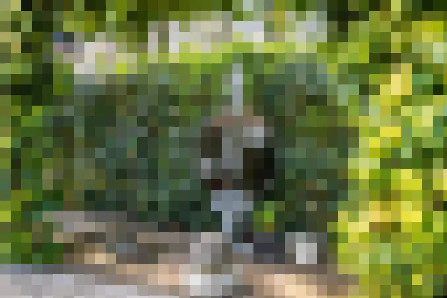 De Peel 13 a 25 Heel thumbnail 23