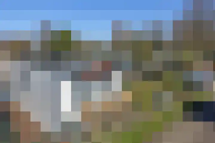 De Peel 13 j 108 Heel thumbnail 15