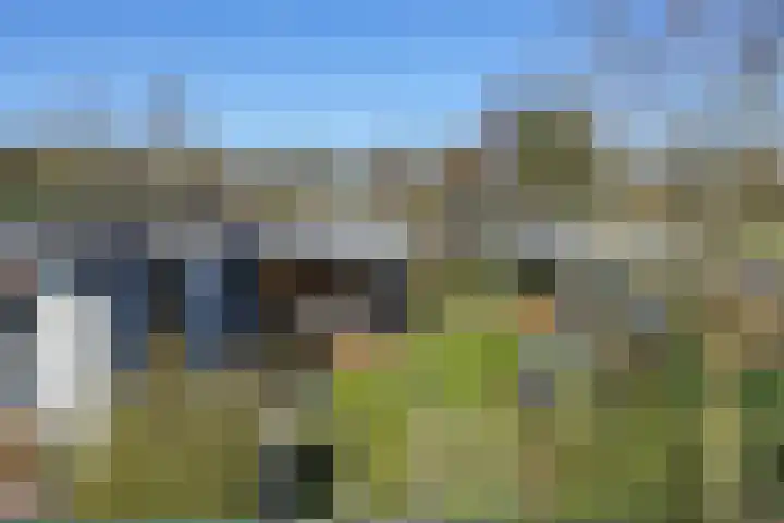 De Peel 13 j 108 Heel thumbnail 17