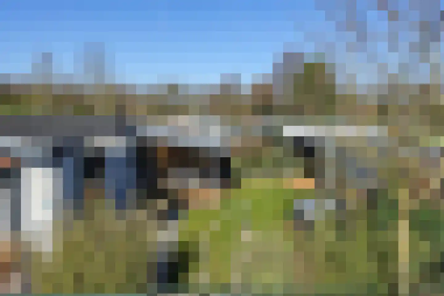 De Peel 13 j 108 Heel thumbnail 17