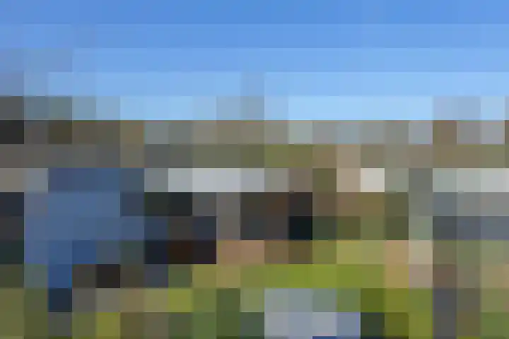 De Peel 13 j 108 Heel thumbnail 22