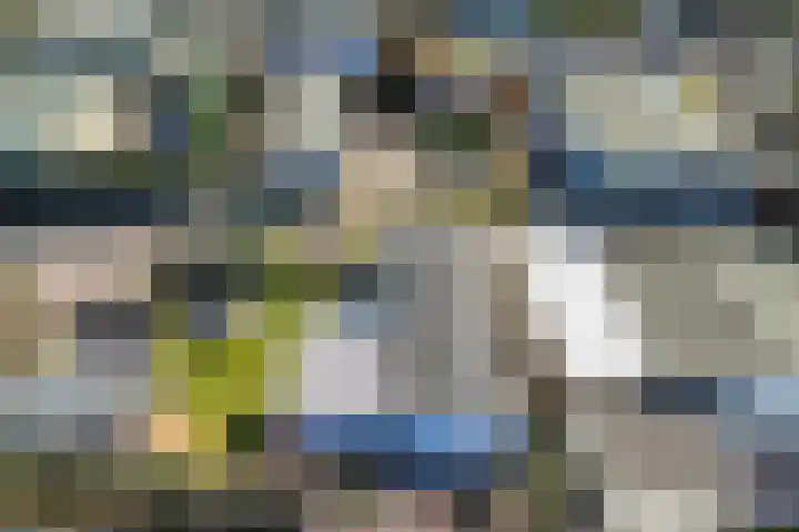 De Peel 13 j 108 Heel thumbnail 32