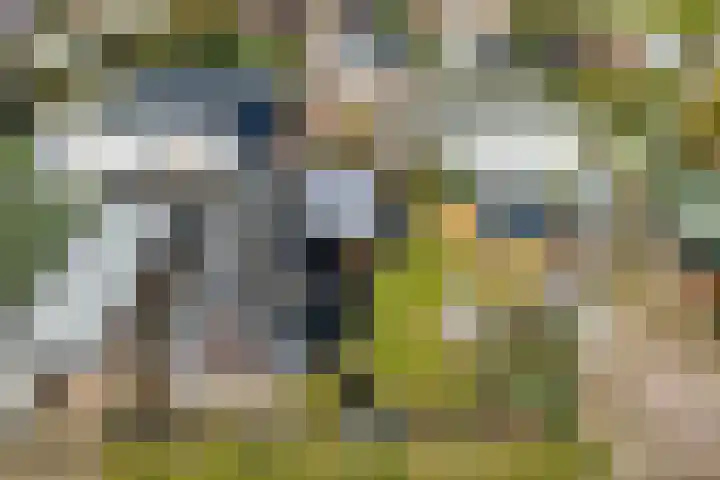 De Peel 13 j 108 Heel thumbnail 33