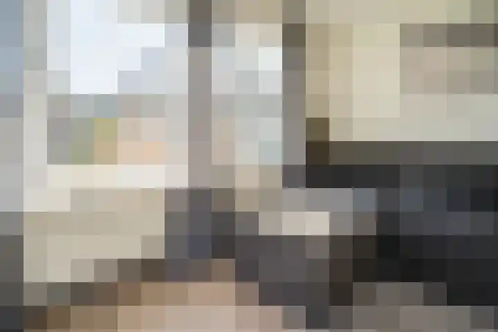 De Peel 13 j 108 Heel thumbnail 45