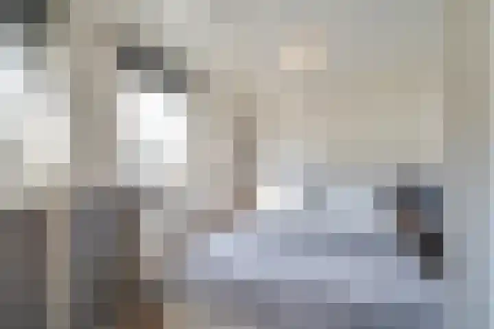De Peel 13 j 108 Heel thumbnail 54