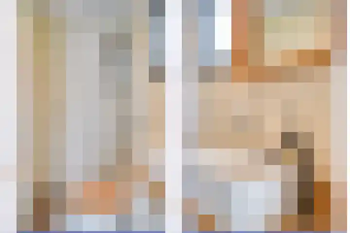 De Peel 13 j 108 Heel thumbnail 57