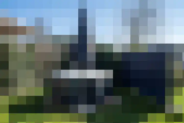 De Peel 13 j 108 Heel thumbnail 62