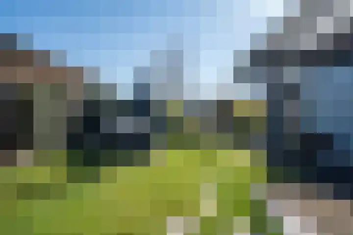 De Peel 13 j 108 Heel thumbnail 63