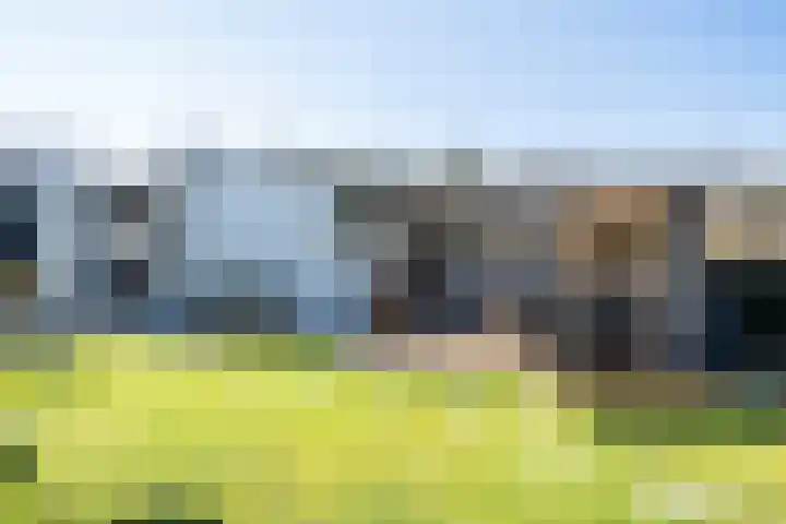 De Peel 13 j 108 Heel thumbnail 66