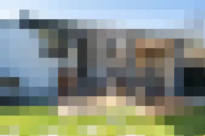 De Peel 13 j 108 Heel thumbnail 67