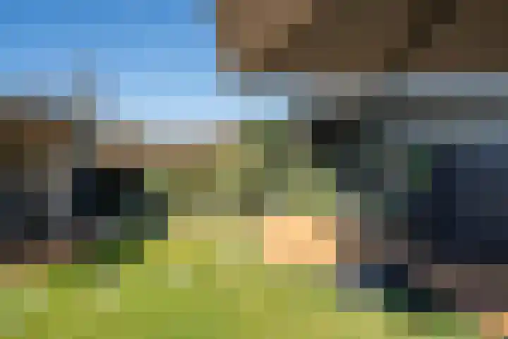 De Peel 13 j 108 Heel thumbnail 68