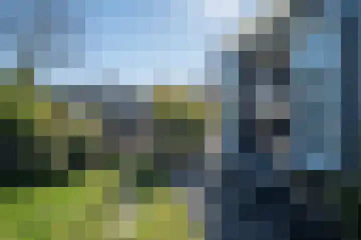 De Peel 13 j 108 Heel thumbnail 69