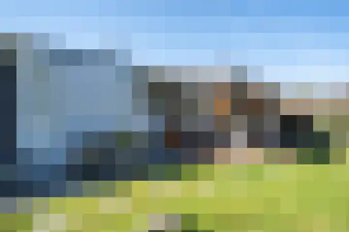 De Peel 13 j 108 Heel thumbnail 71