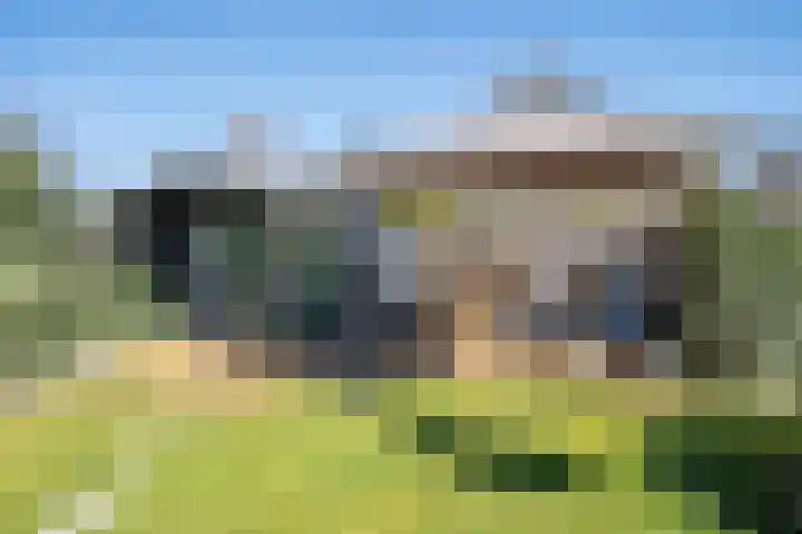 De Peel 13 j 108 Heel thumbnail 77